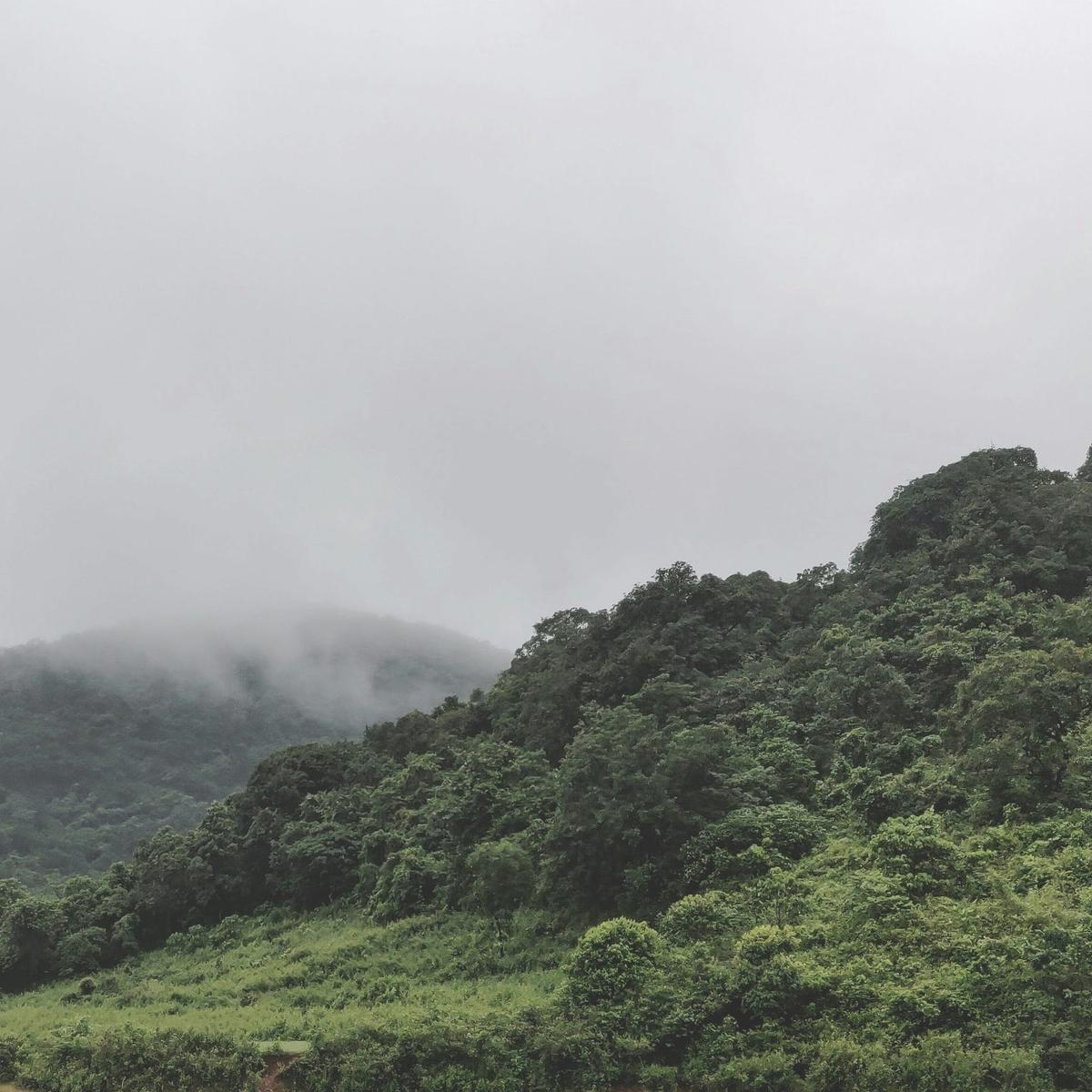 Misty green mountain landscape